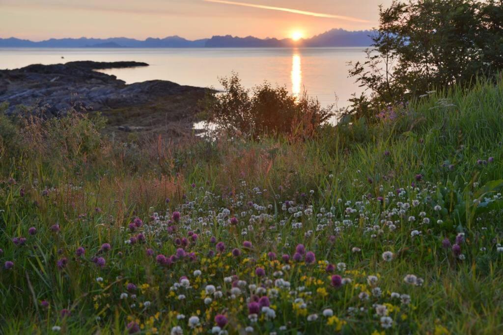 Ro I Steigen Villa Buitenkant foto